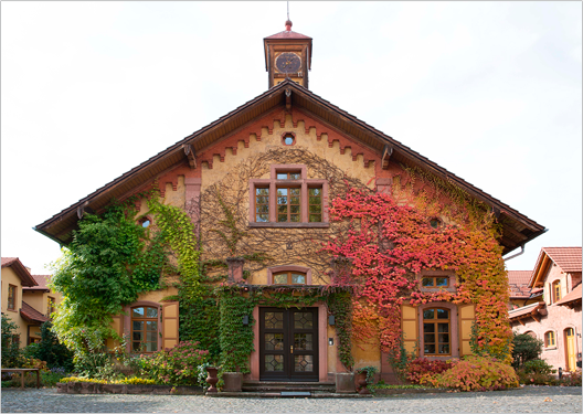 Villa Wolf