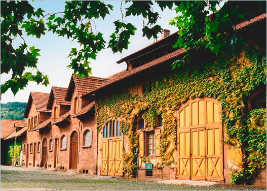Villa Wolf - Wijnstallen